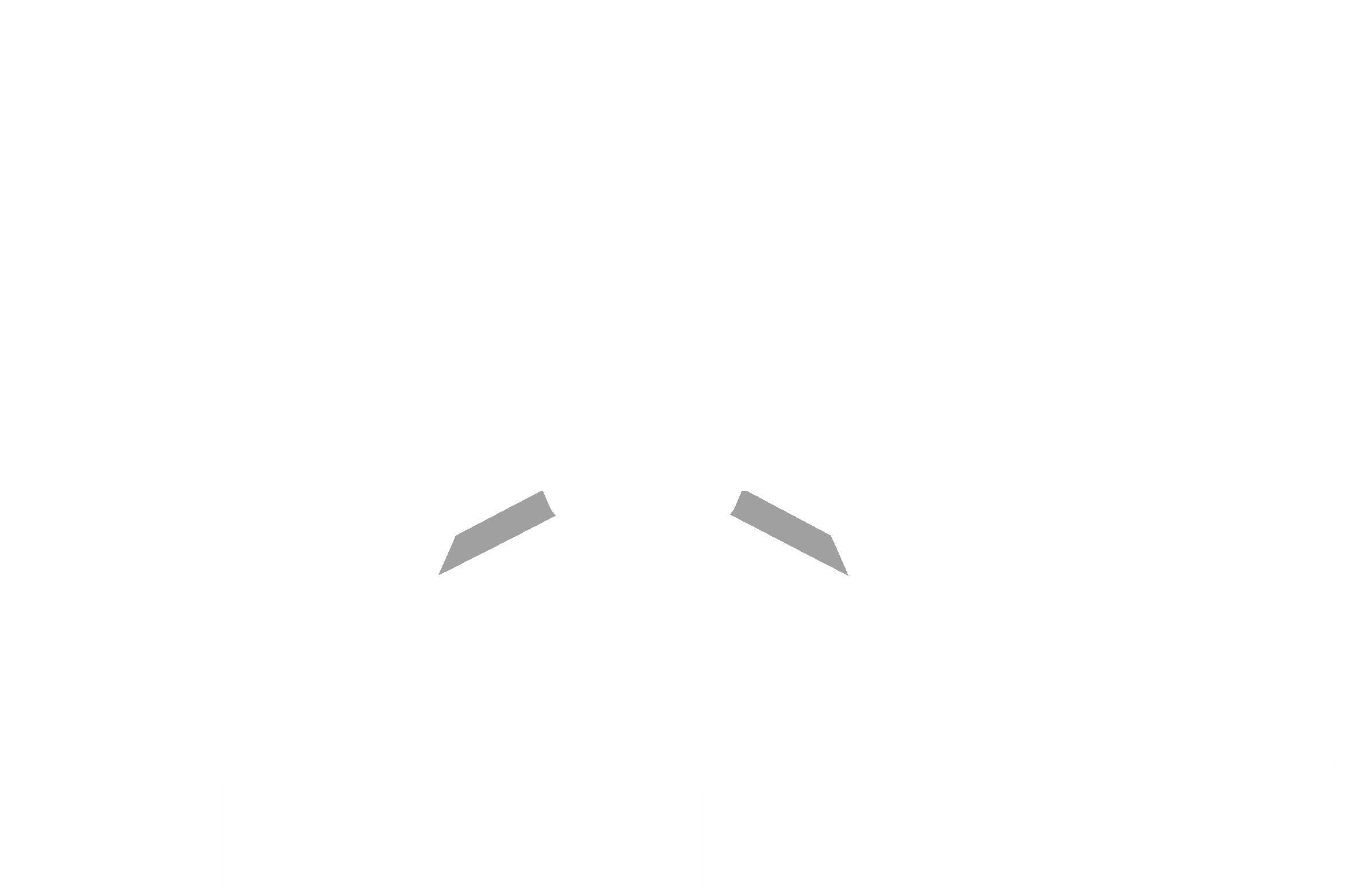 THE WHITE ARK